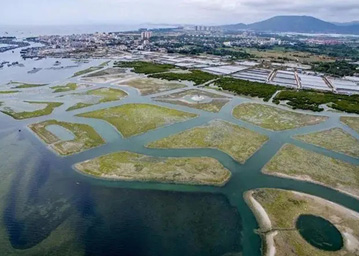 海南陵水红树林湿地公园试点建设项目测绘和勘察服务